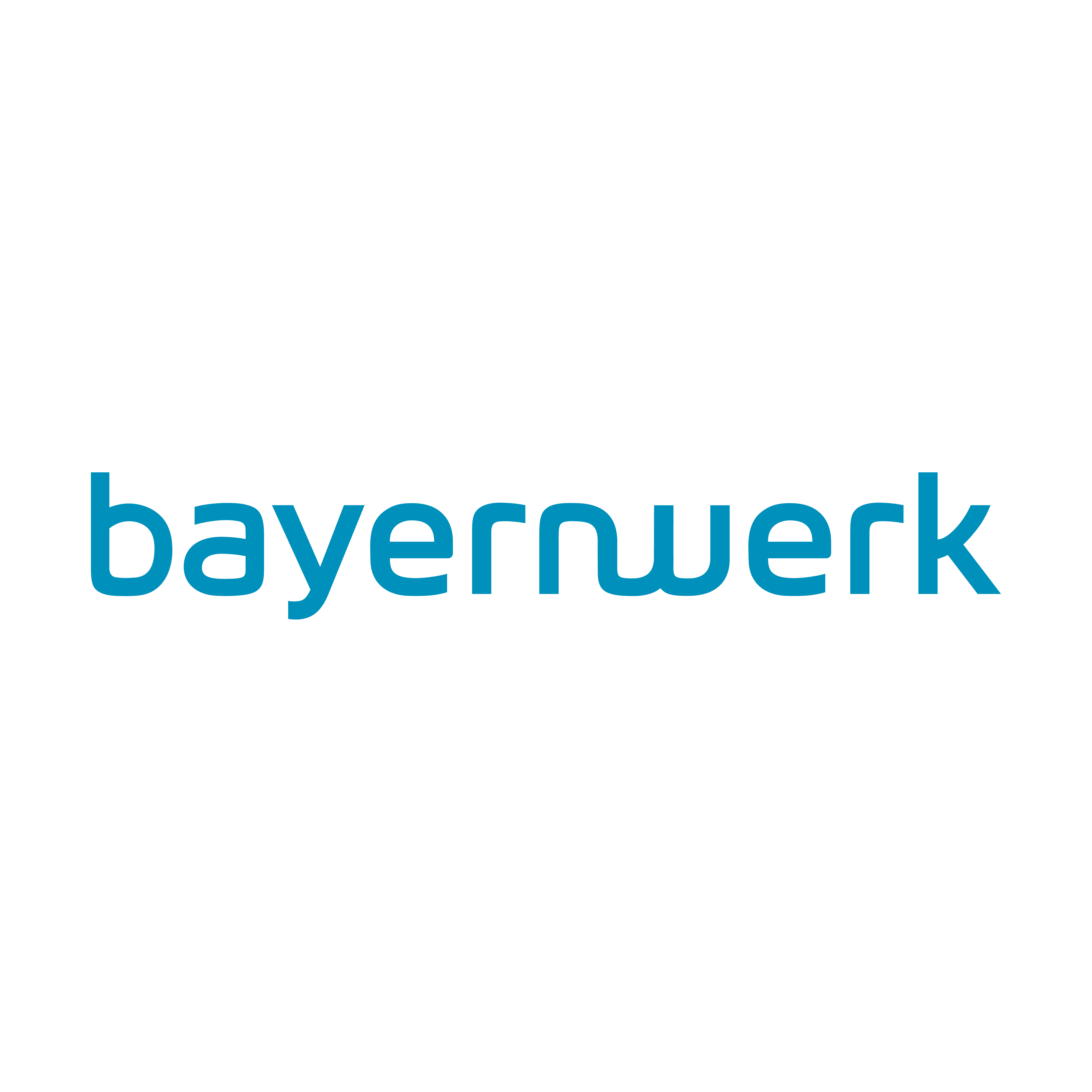 Partnerlogo Bayernwerk Netz GmbH