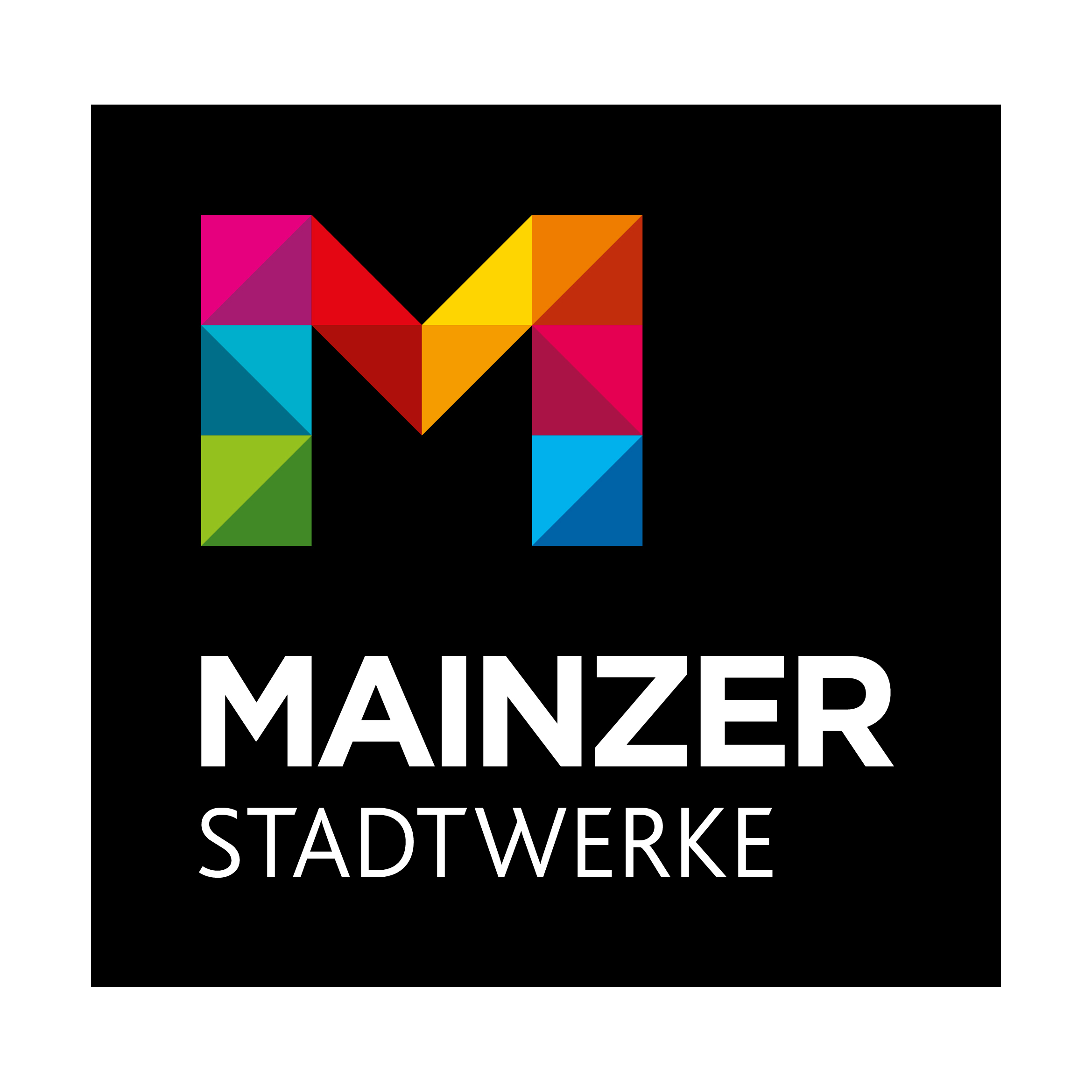 Partnerlogo Mainzer Stadtwerke AG