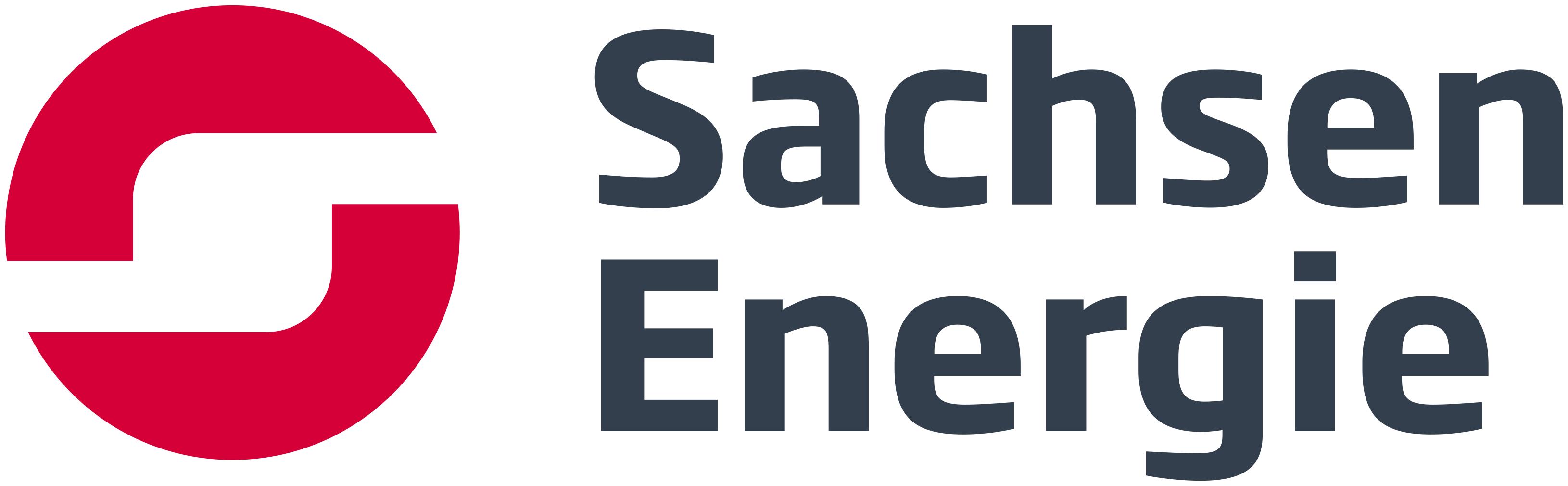 Partnerlogo SachsenEnergie AG